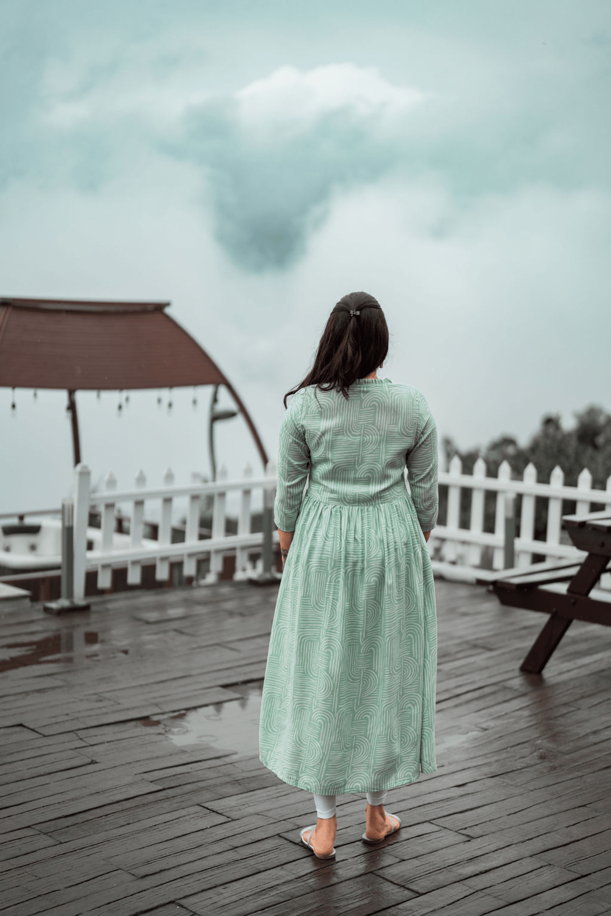 Delightful Arcs Pista Printed Maternity wear and feeding dress