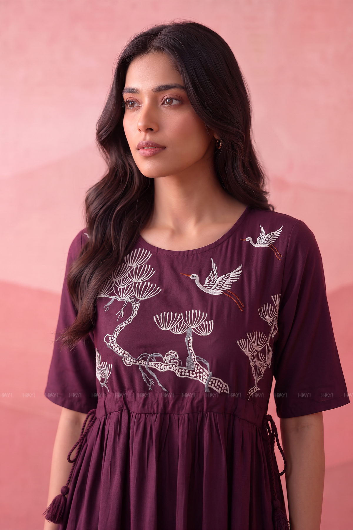 Plum Sparrow Maroon Embroidered Umbrella Dress